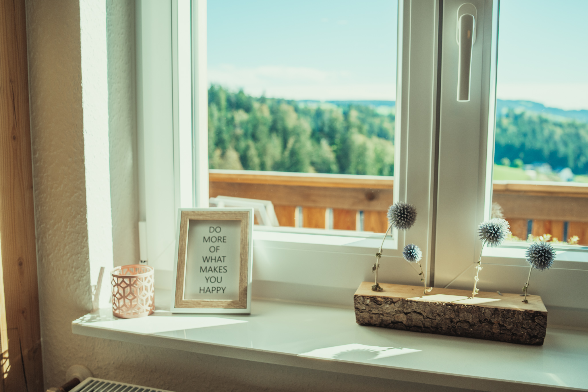 Ferienwohnung Ausblick_