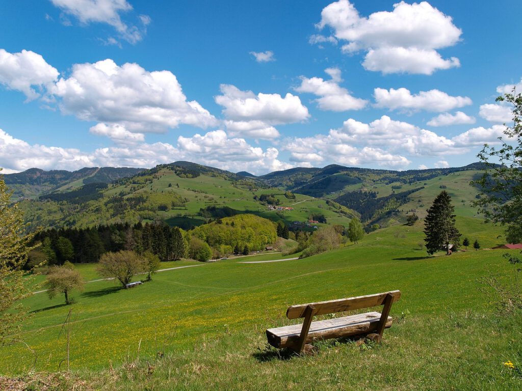 landscape, black forest, germany-2249110.jpg