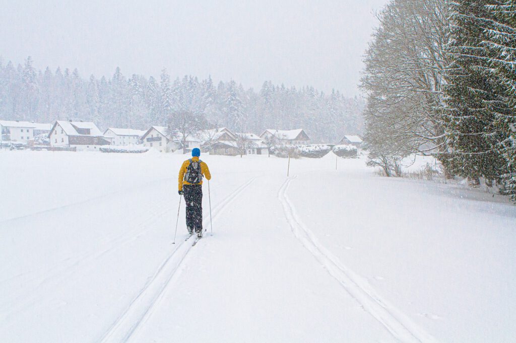 ski, snow, cross-country skiing-6997951.jpg